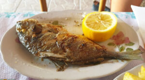 Restorant peshku "te Mbarimja". Fish restaurant BIZZ.AL