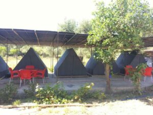 Borshi Tents BIZZ.AL