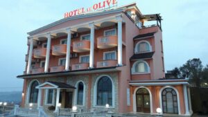 Le Olive Hotel BIZZ.AL