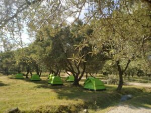 Cika's Camping BIZZ.AL