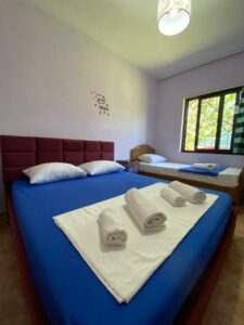 The Hood Hostel BIZZ.AL